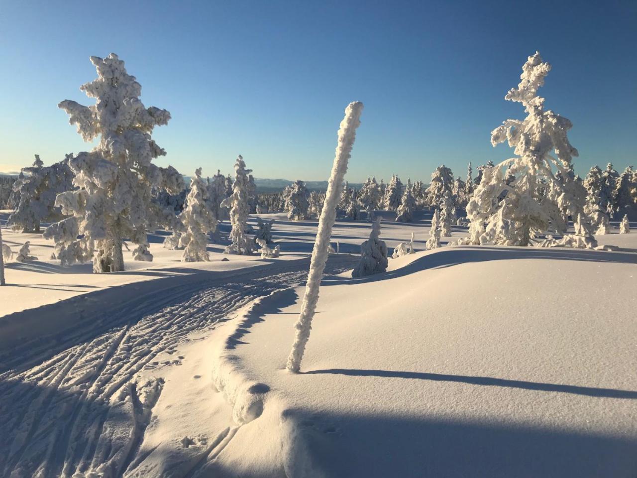 Tyrifjord Hotell Vikersund Exteriör bild
