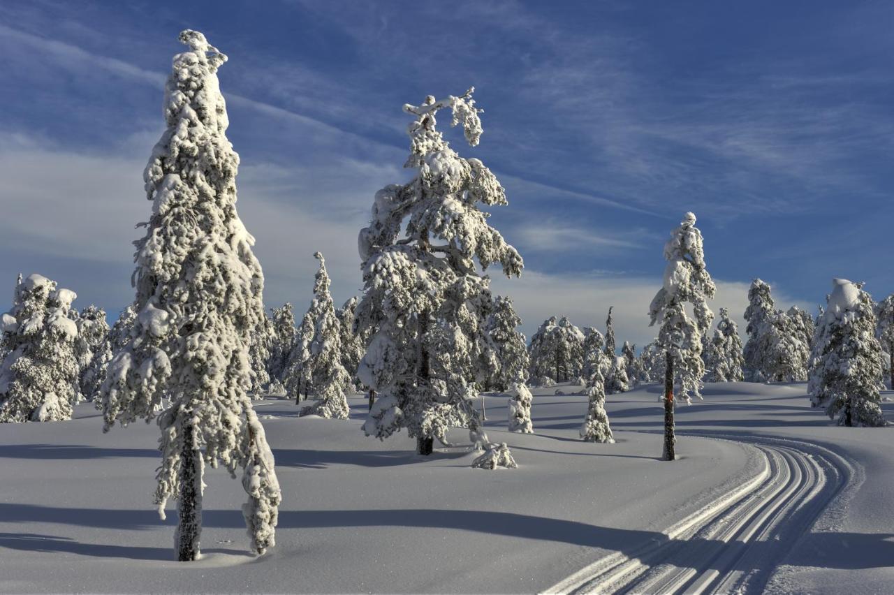 Tyrifjord Hotell Vikersund Exteriör bild