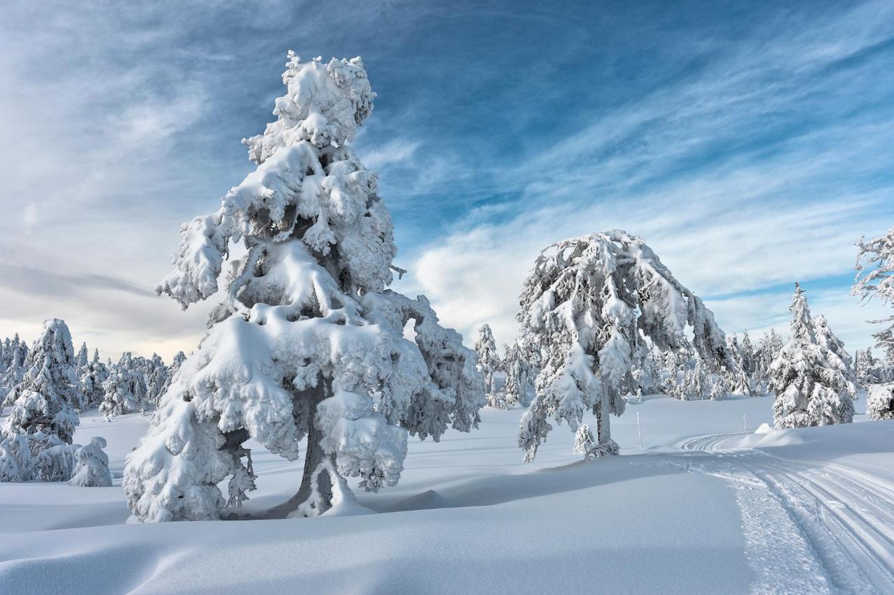 Tyrifjord Hotell Vikersund Exteriör bild